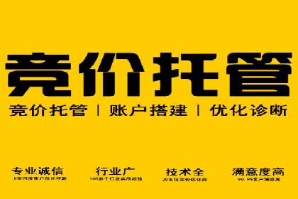 SEM广告投放中的创意策略成功案例